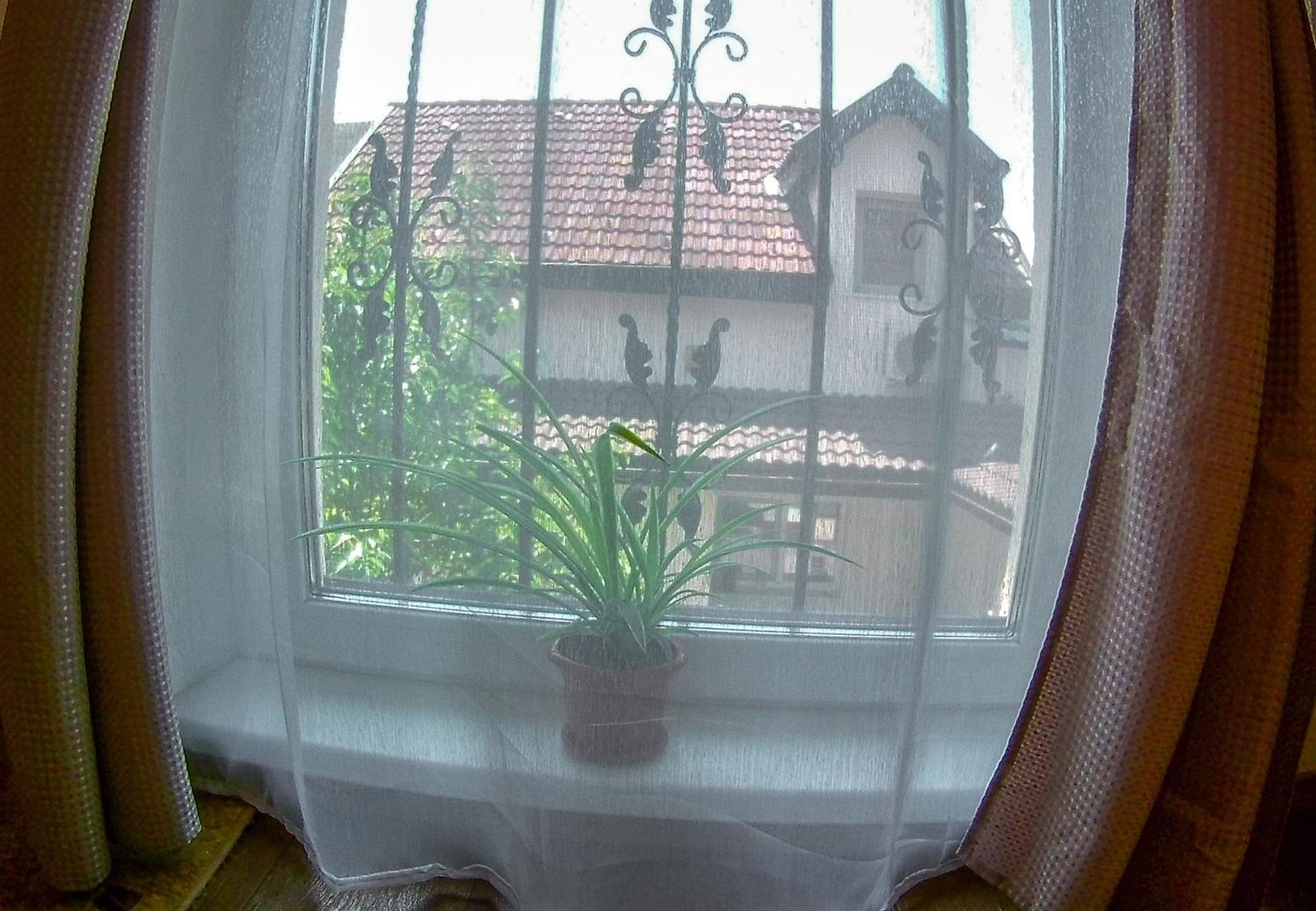 Nice & Cozy Apartments Timişoara Quarto foto